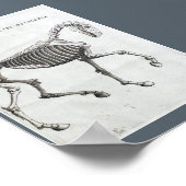 馬の骨 ポスター (角)