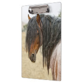 馬の鬣 クリップボード (左)