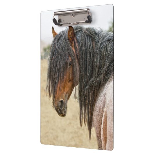 馬の鬣 クリップボード (左)
