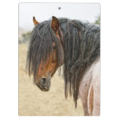 馬の鬣 クリップボード (裏面)