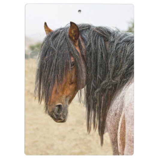 馬の鬣 クリップボード (裏面)