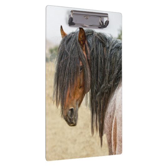 馬の鬣 クリップボード (右)