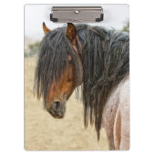 馬の鬣 クリップボード (正面)