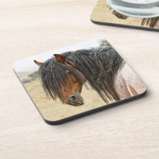 馬の鬣 コースター (左側)