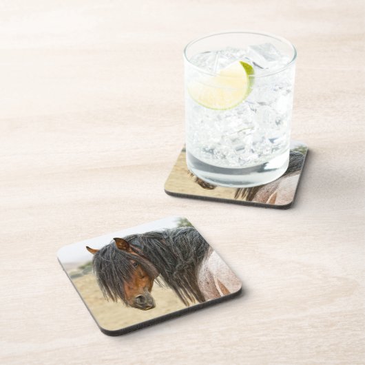 馬の鬣 コースター (右側)