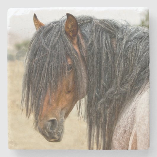 馬の鬣 ストーンコースター (正面)