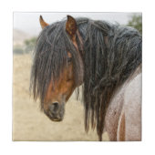 馬の鬣 タイル (正面)