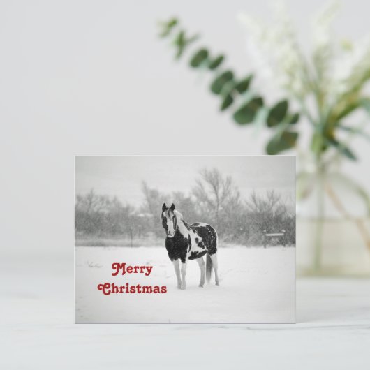 馬の黒と白の雪の写真クリスマス ポストカード (スタンド正面)