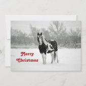 馬の黒と白の雪写真クリスマス 招待状 (正面)