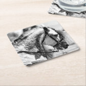 馬の黒白の美術写真 スクエアペーパーコースター (アングル)