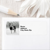 馬の黒白の雪写真 ラベル (インサイチュ)