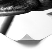 馬の鼻 ポスター (角)