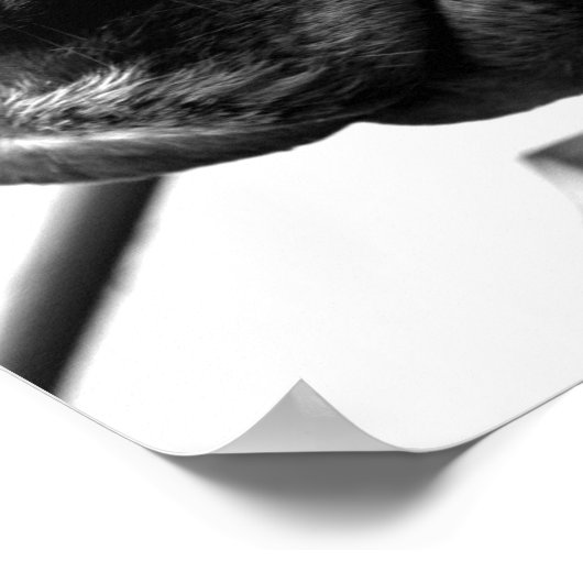 馬の鼻 ポスター (角)