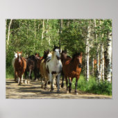 馬の《植物》アスペンニューメキシコのポスター ポスター (正面)