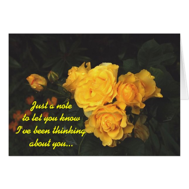 馬のA ** (正面横)