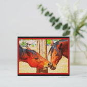 馬はがき – ザアフタヌーンキス ポストカード (スタンド正面)