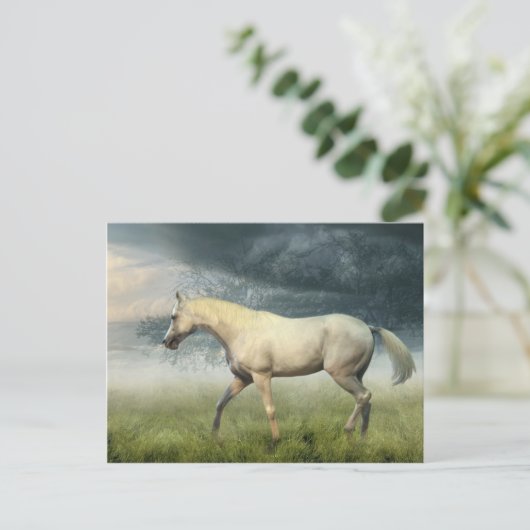 馬はがき ポストカード (スタンド正面)