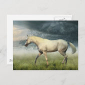 馬はがき ポストカード (正面/裏面)