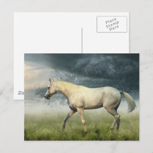 馬はがき ポストカード (正面/裏面)