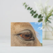 馬はがき ポストカード (スタンド正面)