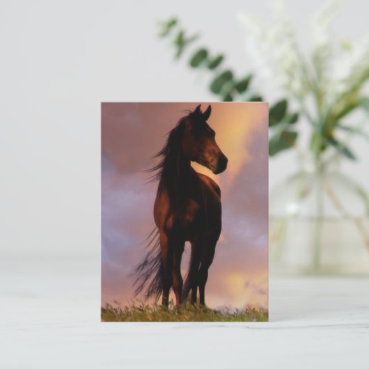 馬はがき ポストカード (スタンド正面)