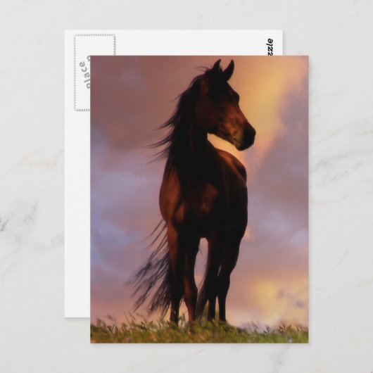 馬はがき ポストカード (正面/裏面)
