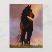 馬はがき ポストカード (正面)