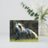 馬はがき ポストカード (スタンド正面)