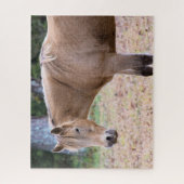 馬はコースの馬 – 16x20インチ ジグソーパズル (縦)