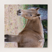 馬はコースの馬 – 20x20インチ ジグソーパズル (横)