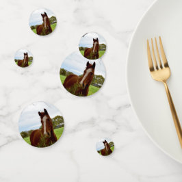 馬はバンクシアの木の匂いを嗅ぎ コンフェッティ