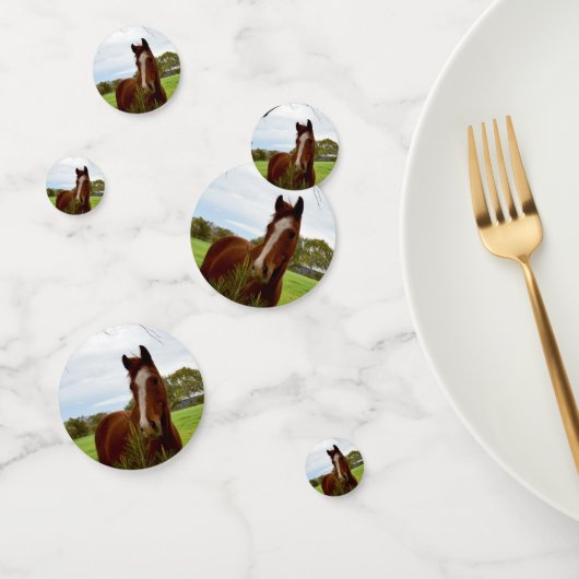 馬はバンクシアの木の匂いを嗅ぎ コンフェッティ (グループ)