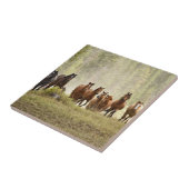 馬はラウンドアップの間に小さな丘をクリスティング タイル (側面)