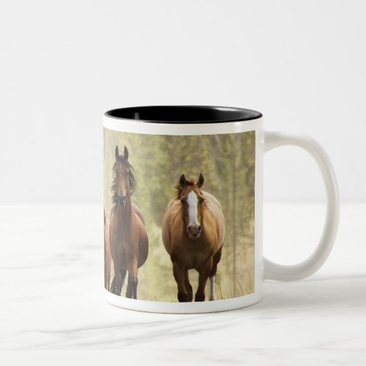 馬はラウンドアップの間に小さな丘をクリスティング ツートーンマグカップ (右)
