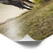 馬は丸め合わせの間に小さな丘を這っていた フォトプリント            (角)