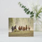 馬は丸め合わせの間に小さな丘を這っていた ポストカード (スタンド正面)