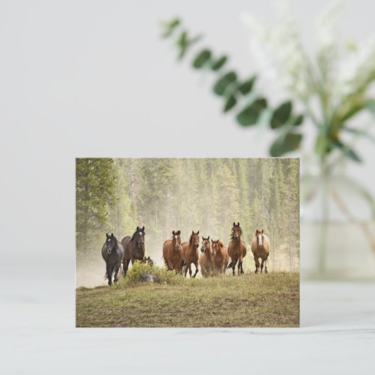 馬は丸め合わせの間に小さな丘を這っていた ポストカード (スタンド正面)