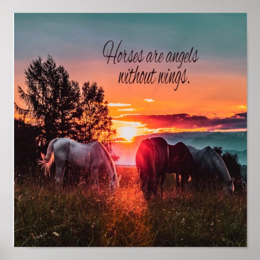馬は翼のない天使である ポスター (正面)