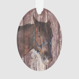 馬は茶色に乗って目で私を見ている オーナメント