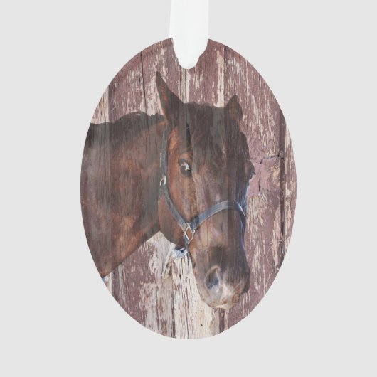 馬は茶色に乗って目で私を見ている オーナメント (裏面)