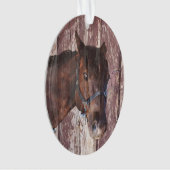 馬は茶色に乗って目で私を見ている オーナメント (正面)