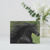 馬は馬#1」 ポストカード (スタンド正面)