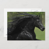 馬は馬#1」 ポストカード (正面/裏面)