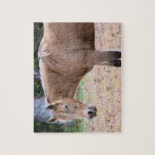 馬は、もちろん、馬である – 8x10インチ ジグソーパズル (縦)