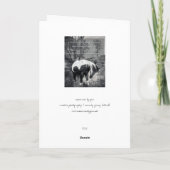 馬もしのグリーティングカードを持った カード (裏面)