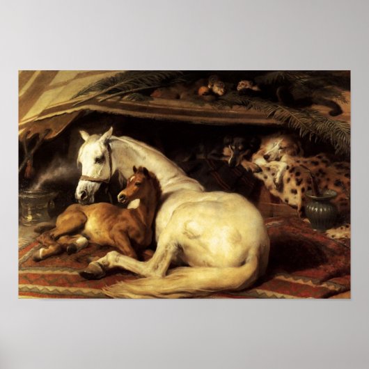 馬や他の動物を持つアラブのテント ポスター (正面)