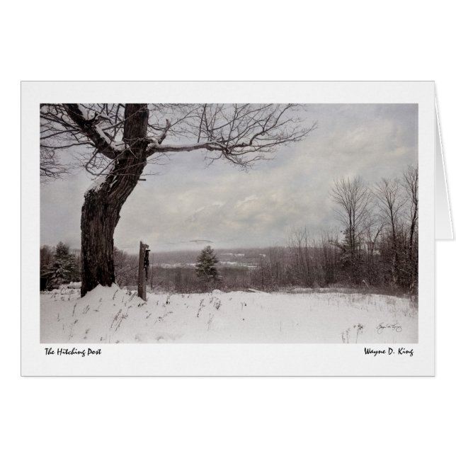 馬をつなぐ杭 (正面横)