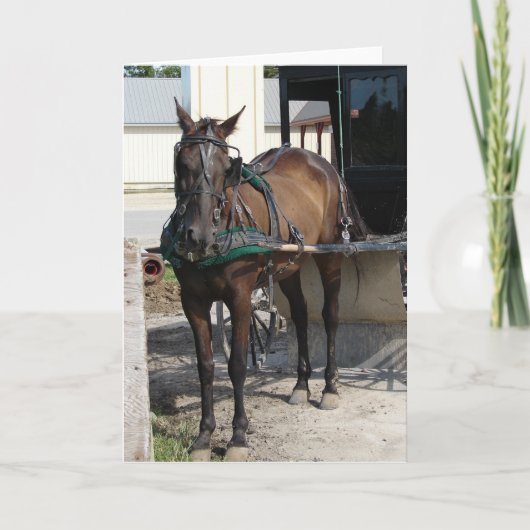 馬をつなぐ杭 カード (正面)