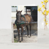 馬をつなぐ杭 カード (黄色い花)