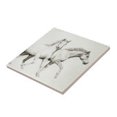 馬をカスタマイズ タイル (側面)